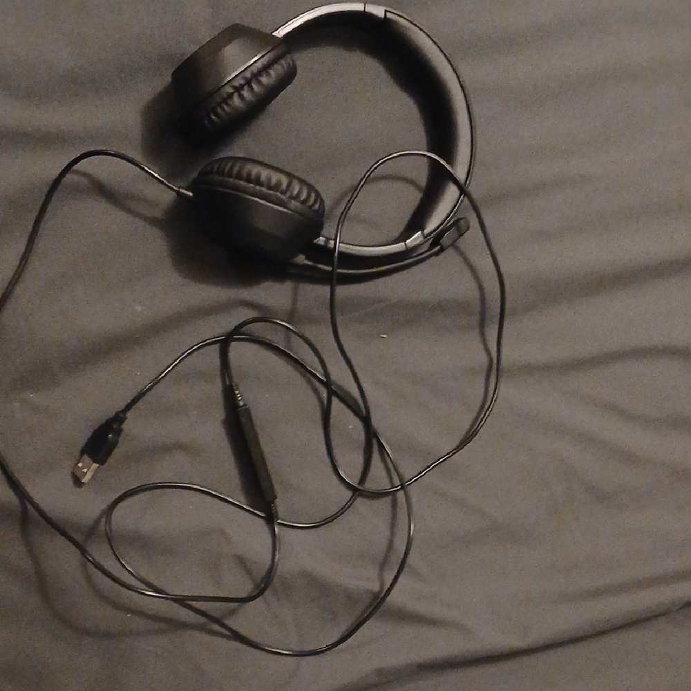 Sleek Black Wired Headphones
